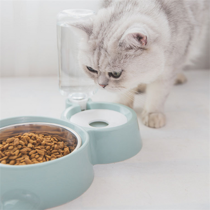 Automatic Dog Bowl