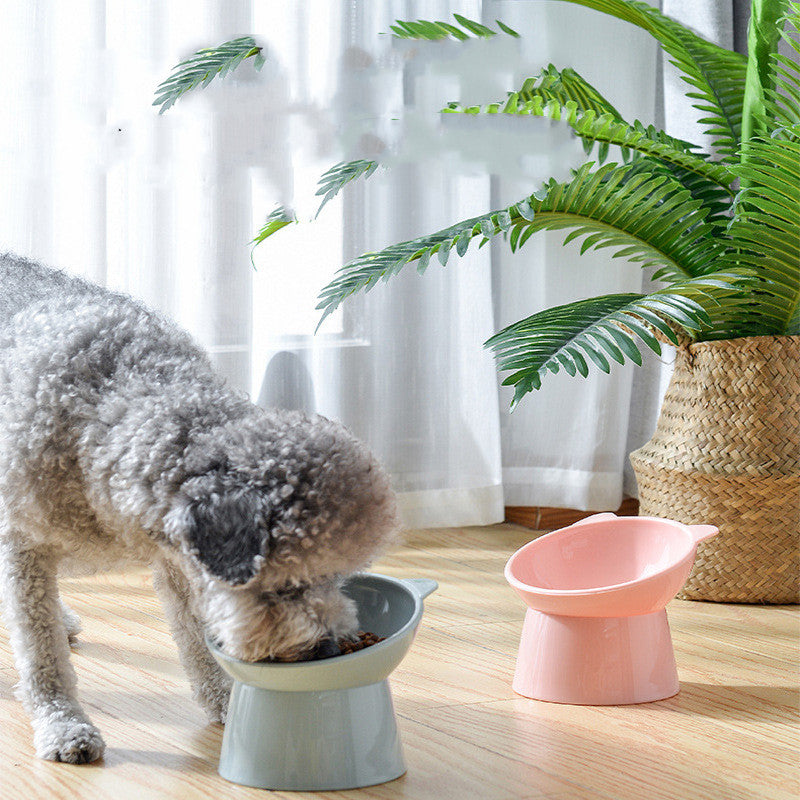 Cat & Small doggy Bowl Oblique