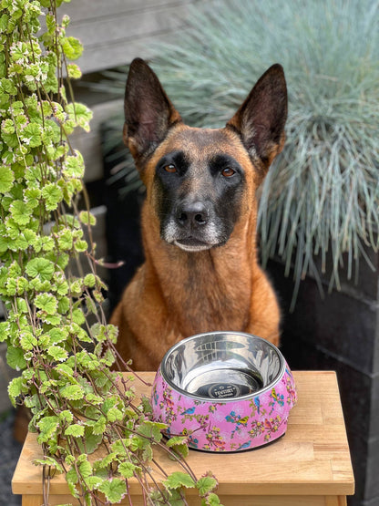 Rosy Paradise Feeding bowl